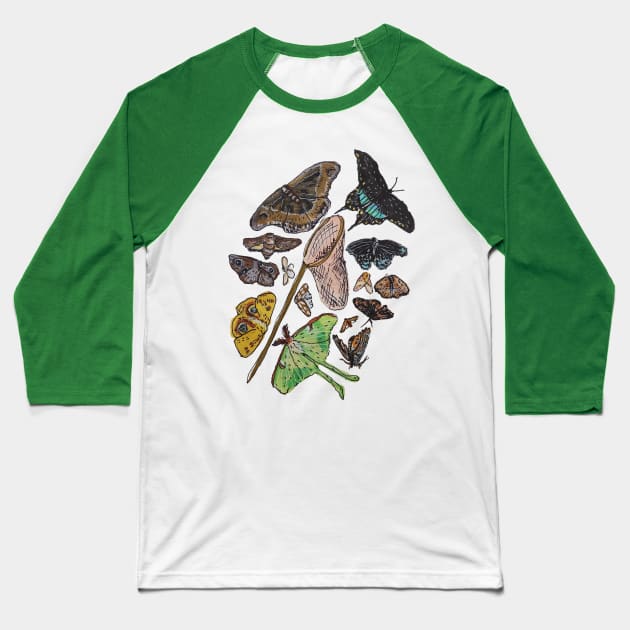 An Entomologist's Dream Baseball T-Shirt by Animal Surrealism